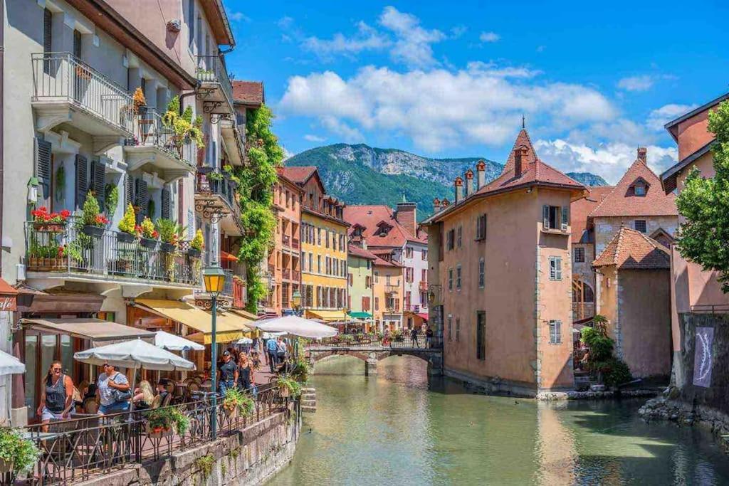 La Perle Du Thiou - Charmant T3 Au Centre D'Annecy Avec Parking Prive Exterior photo